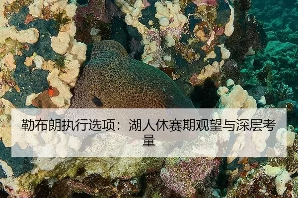 勒布朗执行选项：湖人休赛期观望与深层考量